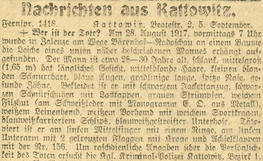 Artikel in Der Oberschlesische Wanderer vom 6. September 1917